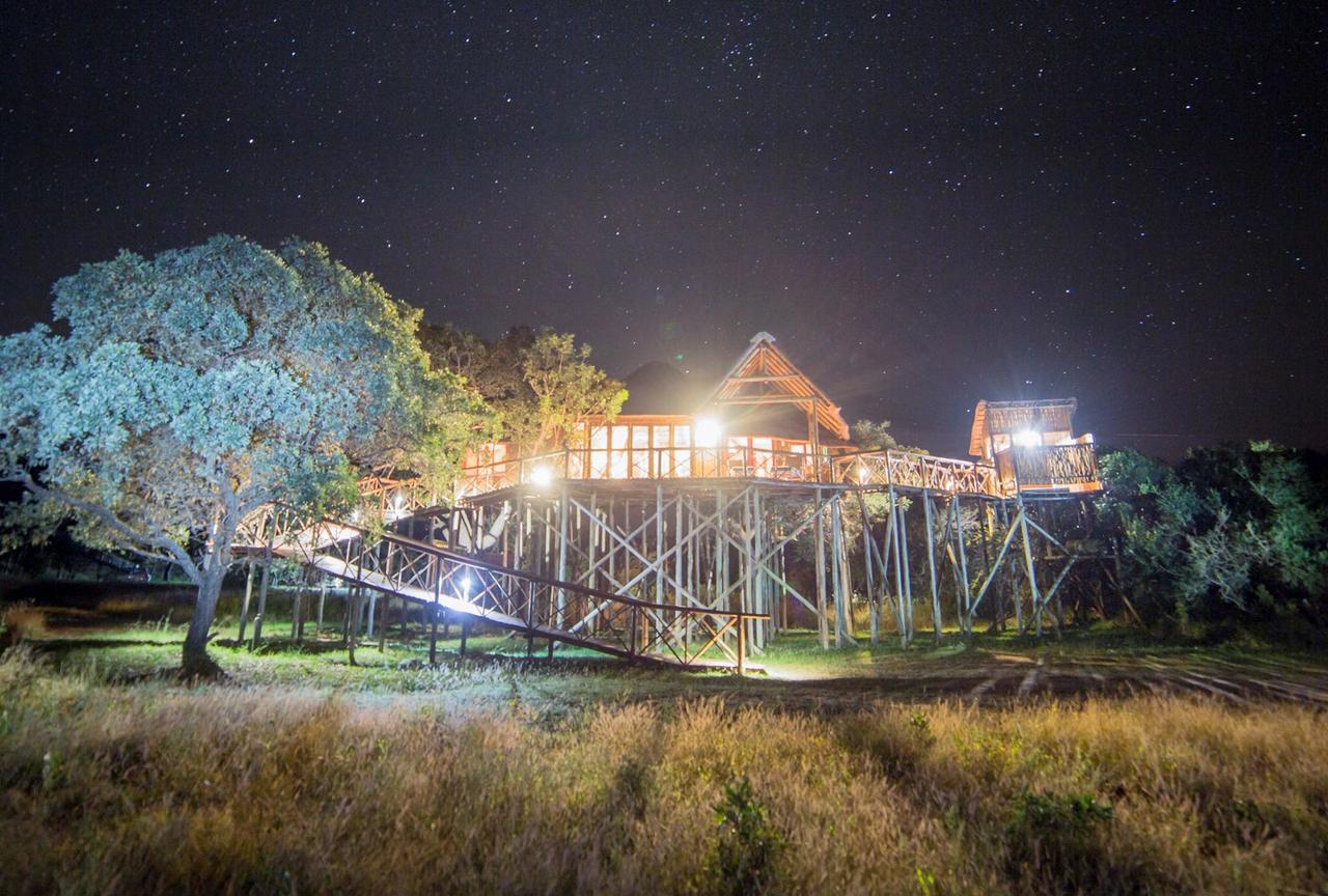 Pezulu Tree House Lodge Hoedspruit Exterior foto
