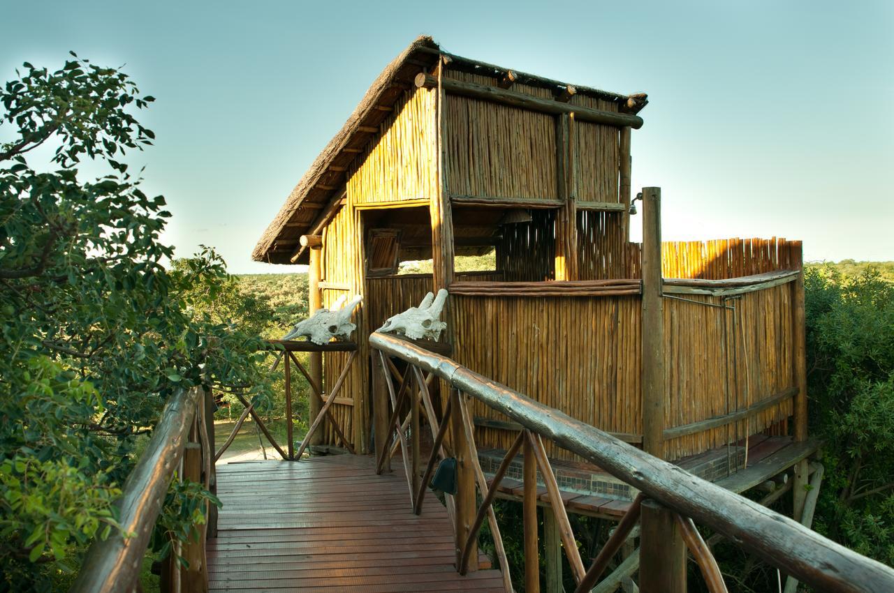 Pezulu Tree House Lodge Hoedspruit Exterior foto