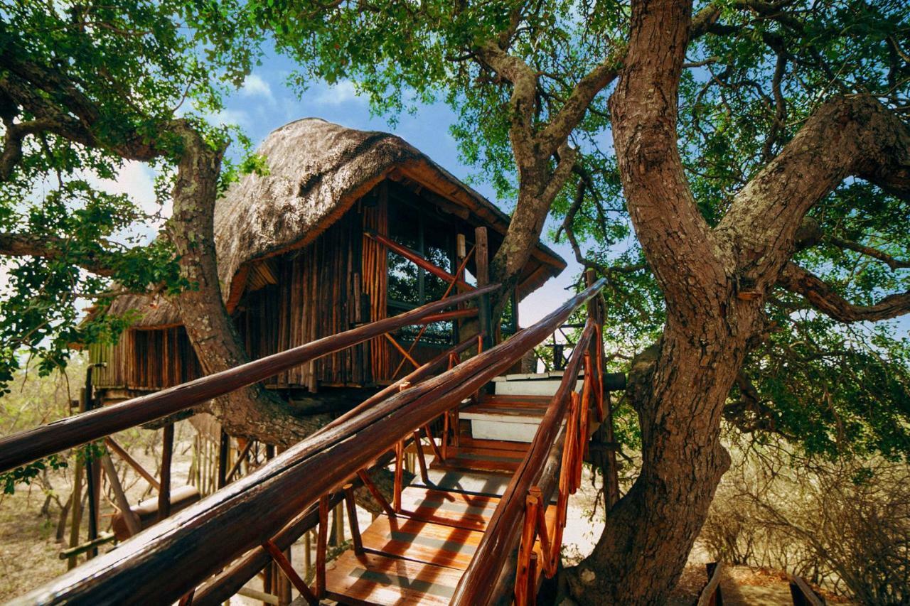 Pezulu Tree House Lodge Hoedspruit Exterior foto