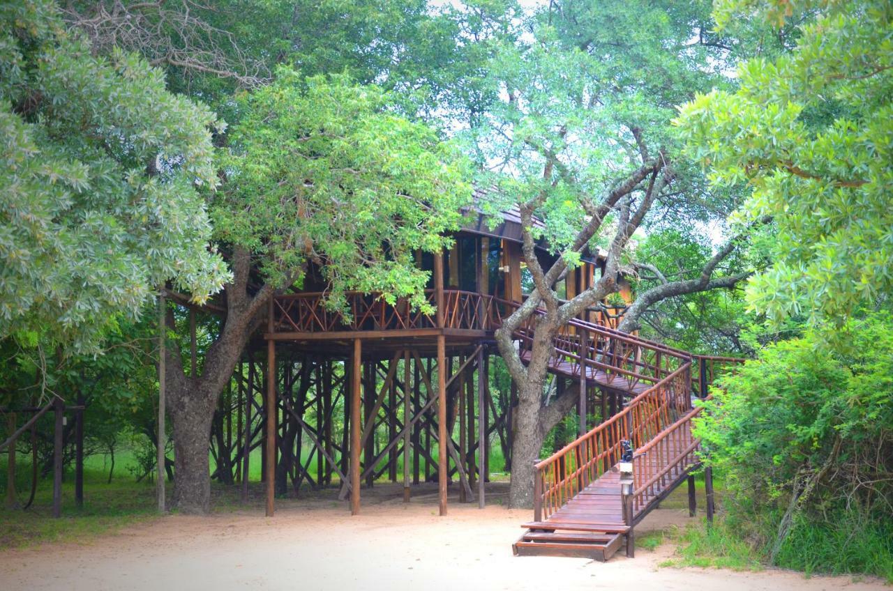 Pezulu Tree House Lodge Hoedspruit Exterior foto