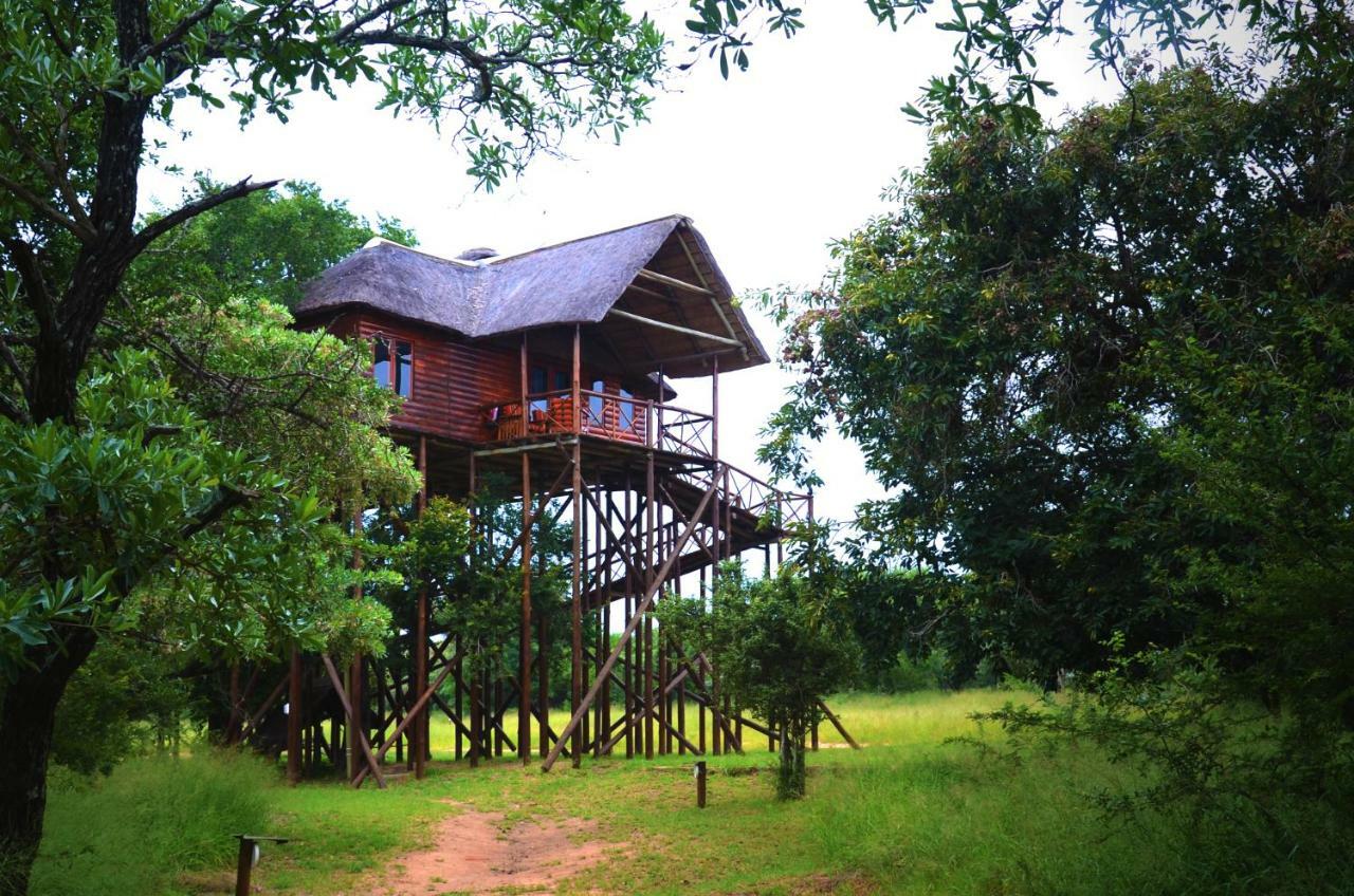 Pezulu Tree House Lodge Hoedspruit Exterior foto