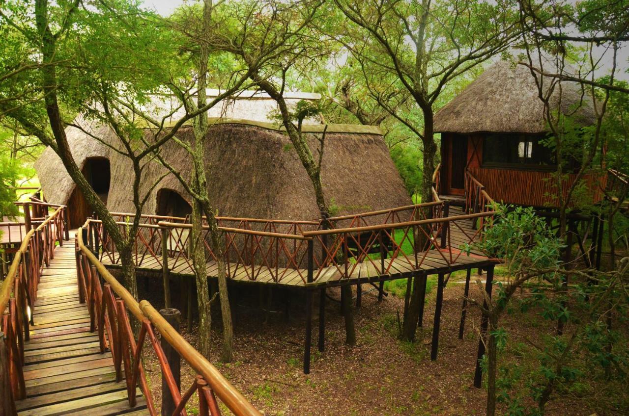 Pezulu Tree House Lodge Hoedspruit Exterior foto
